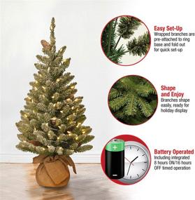 img 1 attached to 🎄 National Tree Company Pre-lit 3 ft Mini Christmas Tree with White LED Lights and Burlap Base