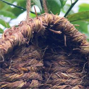 img 2 attached to 🏡 Bird Nest Grass Bird Hut - Outdoor Hanging Birdhouse for Canaries, Chickadees, Wrens, Finches, and Sparrows - Hand-Woven Fiber Roosting Pocket Hideaway