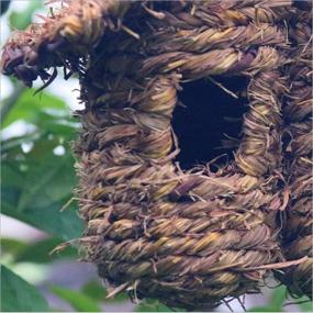 img 1 attached to 🏡 Bird Nest Grass Bird Hut - Outdoor Hanging Birdhouse for Canaries, Chickadees, Wrens, Finches, and Sparrows - Hand-Woven Fiber Roosting Pocket Hideaway