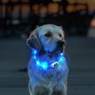 🔵 honey care led dog collar: usb rechargeable night safety waterproof flashing light-up collar (blue) logo