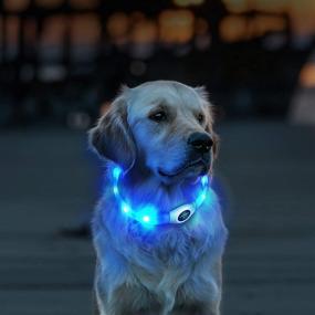 img 3 attached to 🔵 HONEY CARE LED Dog Collar: USB Rechargeable Night Safety Waterproof Flashing Light-up Collar (Blue)