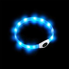 img 2 attached to 🔵 HONEY CARE LED Dog Collar: USB Rechargeable Night Safety Waterproof Flashing Light-up Collar (Blue)