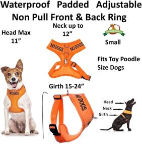 img 3 attached to 🐶 Dexil Limited NO Dogs (Not Good with Other Dogs) Orange Color Coded Vest Dog Harness: Prevent Accidents & Warn Others in Advance with Non-Pull Design, Padded & Waterproof!