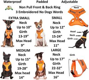 img 2 attached to 🐶 Dexil Limited NO Dogs (Not Good with Other Dogs) Orange Color Coded Vest Dog Harness: Prevent Accidents & Warn Others in Advance with Non-Pull Design, Padded & Waterproof!