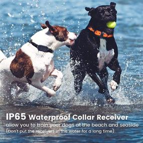 img 1 attached to Waterproof Dog Training Collar for 2 Dogs - FunniPets Remote Shock Collar with 2600ft Control Range, 4 Training Modes - Light, Shock, Vibration, Beep - Ideal for Medium and Large Breed Dogs