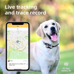 img 1 attached to G20 GPS Pet Tracker by PETBIZ - Nationwide Positioning & Activity Monitor, Long-lasting 30 Days Battery Life, IPX7 Waterproof for Cats and Dogs