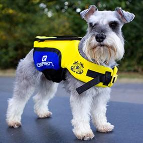 img 1 attached to 🐶 O'Brien Pet Life Vest: Ensuring Safety and Style for Your Beloved Fur Friends