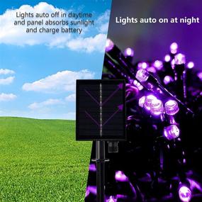 img 1 attached to 🌟 Twinkle Star Solar String Lights Halloween Decoration: 98FT 300 LED Purple Fairy Light for Outdoor/Indoor Decor, Waterproof & Solar Powered, Perfect for Garden Backyard Patio Yard Holiday Party