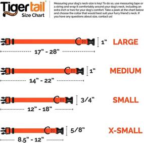 img 1 attached to 🐯 Tiger Tail Urban Nomad Dog Collar: Durable, Waterproof, Odor Proof, Anti-Mat & Lightweight Design with Premium Coated Nylon for Large, Medium & Small Breeds