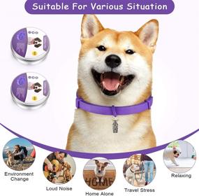 img 2 attached to 🐶 Weewooday 3 Pieces Dog Collar with Pet ID Pendant and Tube ID Tag - Purple, Fits Most Dogs Up to 24.5 Inch