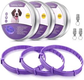 img 4 attached to 🐶 Weewooday 3 Pieces Dog Collar with Pet ID Pendant and Tube ID Tag - Purple, Fits Most Dogs Up to 24.5 Inch