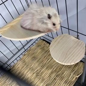 img 2 attached to Hamiledyi Hamster Wooden Platform Rat Circular