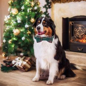 img 2 attached to 🎅 Festive Christmas Dog Collar with Removable Bowtie - Perfect for Small, Medium, and Large Dogs