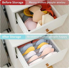 img 1 attached to 📦 2 Pack DIMJ Bra Drawer Organizers - 6 Cell Underwear Organizer for Closet Dress Drawer - Lingerie Storage Bins with Divider - Zip Foldable Cube Storage Cabinet Organizer Fabric Box for Bra, Socks, Ties, and Belts