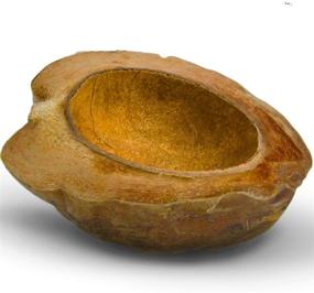 img 4 attached to SunGrow Reptile Food Bowl, 4.5 x 5.5 Inches, Half Coconut Shell with Husk, Tank Décor and Humidifier for Bearded Dragons, Tortoises, Snakes, and Bullfrogs - Enhances SEO