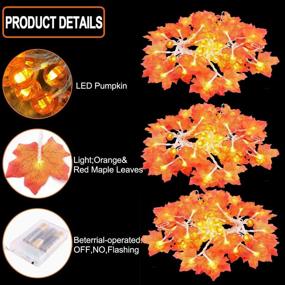 img 3 attached to 🎃 TOPLEE Thanksgiving Pumpkin Lights: 3 Pack Maple Fall String Lights for Indoor & Outdoor Decor - 30ft 60 LED Waterproof Battery Operated Fall Garland