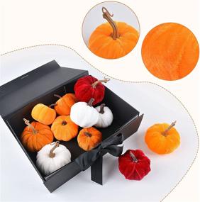 img 2 attached to 12Pcs Velvet Pumpkins - MRTREUP Artificial Pumpkins Halloween Foam Pumpkin Decor Set, Mini Faux Assorted Pumpkins Fall Harvest Thanksgiving Decorations for Outdoor, Indoor, Home, Farmhouse, and Tabletop