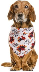 img 1 attached to 🦃 Thanksgiving Dog Bandana: Rainlemon Turkey Collar Scarf for Pets, Triangle Bib Puppy Party Costume