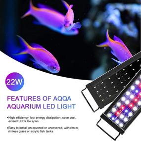 img 2 attached to 11W-45W AQQA Aquarium LED Lights - Waterproof Full Spectrum Fish Tank Light with Timer Controller, White & Blue & Red Light, Extendable Brackets - Ideal for Freshwater Planted Tanks