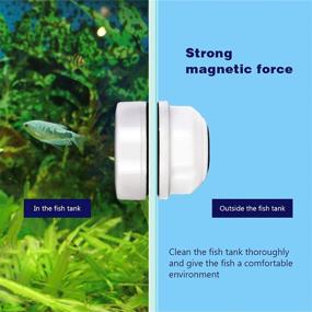 img 3 attached to 🌊 Efficient Algae Scrapers: Magnetic Glass Cleaner Brush for Small Fish Tanks – KASAN