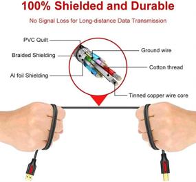 img 2 attached to 15FT USB 3.0 A Male to B Male Cable – High-Speed Data Transfer for Printers, External Hard Drives, and More!