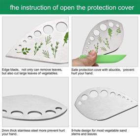 img 1 attached to 🌿 Stainless Steel 9-Hole Herb Stripper Tool Pack - Convenient Kitchen Gadget for Kale Leaf Stripping, Curved Edge, Zip Tools