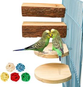 img 4 attached to 🐦 S-Mechanic 4 Pack Parrot Cage Perch: Natural Wooden Toys for Small to Medium Conure, Parakeet, Budgie, Finches, and Amazon Parrot - Style 1