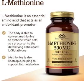 img 2 attached to 🌱 Solgar L-Methionine 500 mg: Antioxidant & Fat Metabolism Support - 90 Veg Caps - Vegan, Gluten Free, Dairy Free, Kosher