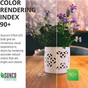 img 2 attached to 💡 High-Quality Dimmable Waterproof Lighting for Restaurants and Industrial Applications - Sunco Lighting
