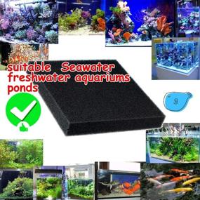 img 1 attached to 🐠 Enhance Your Lifestyle with CORISRX B&G Aquarium Sponge Filter Foam - Water Media Pads: Sizing, Benefits, and More!