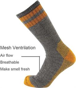 img 1 attached to 🧦 CEREBRO Merino Wool Mid-Calf Socks for Men - Moisture-Wicking Cushioned Hiking Socks for Home, Trekking, and Outdoor Activities