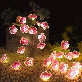 img 2 attached to 🌸 Onemore Flower String Lights, Cherry Blossom Fairy Lights with Timer & USB Power - 10FT 30 LEDs Battery Operated Fun LED Lights for Bedroom Party Desk Wedding Christmas Decorations