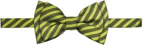 img 2 attached to Retreez Matte Classic Striped Woven Microfiber Pre-tied Boys Bowtie for Stylish Look