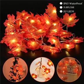 img 3 attached to 🍁 Enhance Your Thanksgiving Decor with 9.8ft Maple Leaf String Lights - 20 LED Fairy Lights for Indoor & Outdoor Party, Waterproof Battery Powered - 8 Modes for Autumn Home Decorations!