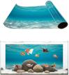 xhome backgrounds background wallpaper decoration fish & aquatic pets logo