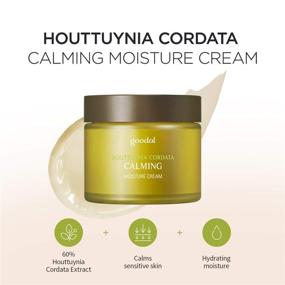 img 4 attached to 🌿 Goodal Houttuynia Cordata Calming Moisture Cream - Deep Moisturizer for All Skin Types, Instant Hydration, Soothing Herbal Skincare (2.53 oz)