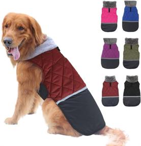 img 4 attached to 🐶 EMUST Обратимый плащ для собак - ветрозащитный и водонепроницаемый жакет для холодной погоды, теплая зимняя одежда для маленьких, средних и больших собак.