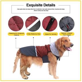 img 2 attached to 🐶 EMUST Обратимый плащ для собак - ветрозащитный и водонепроницаемый жакет для холодной погоды, теплая зимняя одежда для маленьких, средних и больших собак.