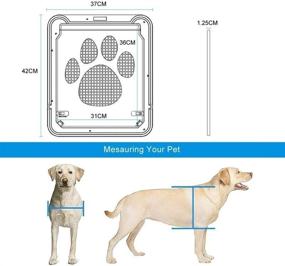 img 1 attached to ABC Pet 12X14X0 4 Автоматический замок