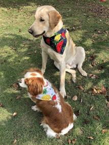 img 3 attached to 🐶 TAOBABY Dog Bandanas – Set of 8 Classic Plaid Pattern Scarves for Small/Medium Sized Dogs and Large Cats