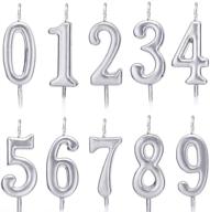 zzpro numeral birthday decoration celebration logo