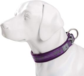 img 2 attached to 🐾 Chai's Choice - Neoprene Padded Reflective Dog Collar - Premium Collar for Large, Medium, and Small Dogs - Medium Purple