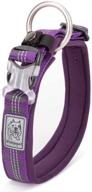 🐾 chai's choice - neoprene padded reflective dog collar - premium collar for large, medium, and small dogs - medium purple logo