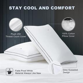 img 1 attached to 🛏️ Lucian Bed Pillows for Sleeping 2 Pack - Cooling Queen Size Pillows Set of 2 - Hotel Quality Down Alternative Pillow for Side and Back Sleepers (20x28)