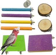 🐦 zyyrt parrot perch stand: wooden bird paw grinding stick perch - 8pcs platform for parakeet cage, budgies, conure, cockatiel - exercise toy & accessories логотип