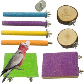 img 4 attached to 🐦 ZYYRT Parrot Perch Stand: Wooden Bird Paw Grinding Stick Perch - 8PCS Platform for Parakeet Cage, Budgies, Conure, Cockatiel - Exercise Toy & Accessories