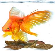 sungrow mini goldfish indian almond leaves: enhance fish health, breeding & tea water environment - 2 inch, 50 pack logo