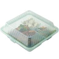 🥡 eco takeouts - enterprises 3-compartment polypropylene ec 09 1 ja ec logo