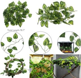 img 2 attached to 🦎 Hamiledyi Bearded Dragon Tank Accessories: Lizard Hammock, Climbing Jungle Vines, Adjustable Leash, Bat Wings, Flexible Reptile Leaves with Suction Cups – Reptile Habitat Decor for Gecko, Snakes, and Chameleon