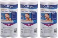 🚰 culligan p5 premium gallons filters: high-performance water filtration at its best logo